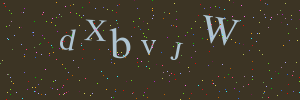 Validation image